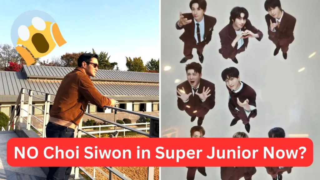 Super Junior Siwon Scribbled Out